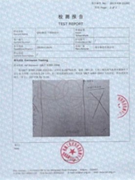 TEST REPORT TEST REPORT