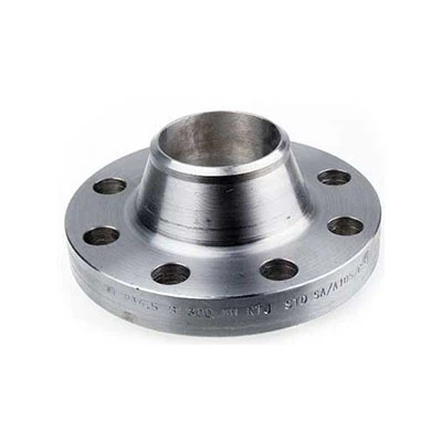 Ring-type Joint Flanges