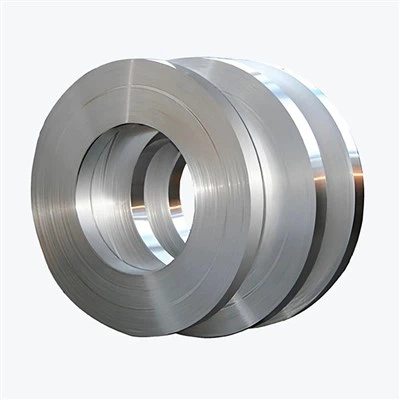 Stainless Steel Strip 2mm