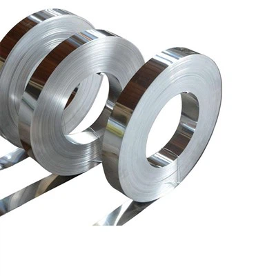 Thin Stainless Steel Strips